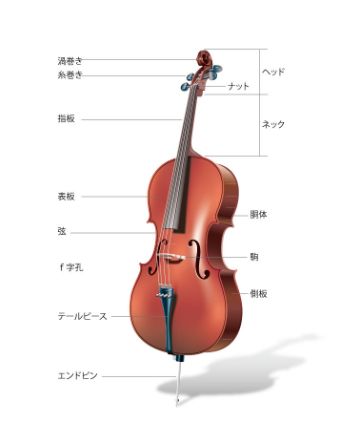 ヘッド、ネック、指板、駒、弦などチェロ各部の名称図