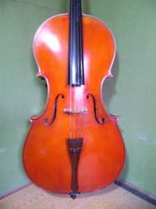 SH3H0191